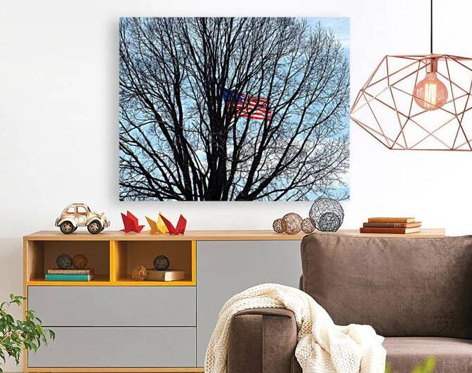 American Flag in Branches Fort McHenry by Bill Swartwout Photography