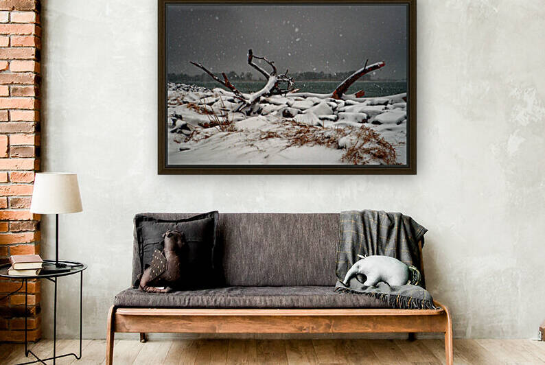 Indian River Inlet Driftwood Snow by Bill Swartwout Photography
