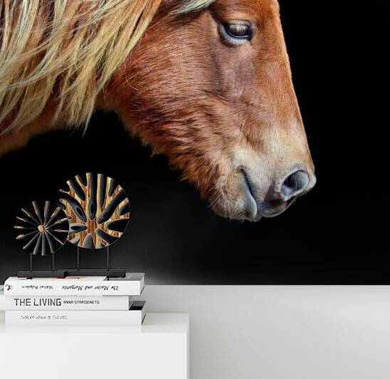 Assateague Pony Sarahs Sweet Tea on Black Square by Bill Swartwout Photography