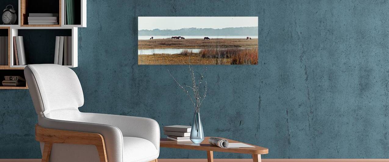 Assateague Wild Horse Band Panorama 0138 by Bill Swartwout Photography