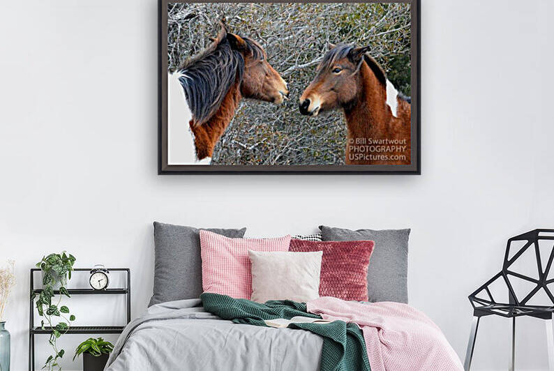 Two Wild Ponies of Assateague Island National Seashore by Bill Swartwout Photography