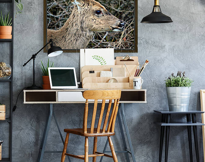 Assateague Deer Head Right by Bill Swartwout Photography