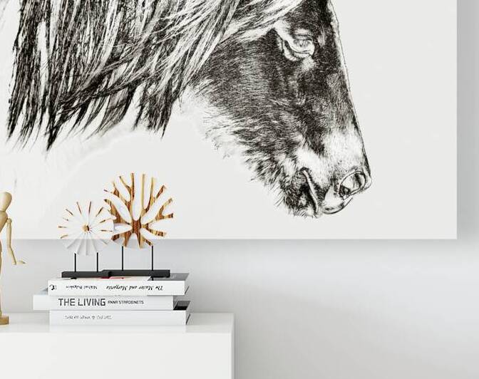 Assateague Sarahs Sweettea Line Drawing Portrait Head by Bill Swartwout Photography