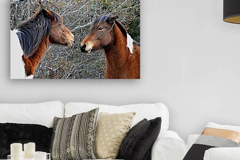 Assateague Island Two Ponies Unedited by Bill Swartwout Photography