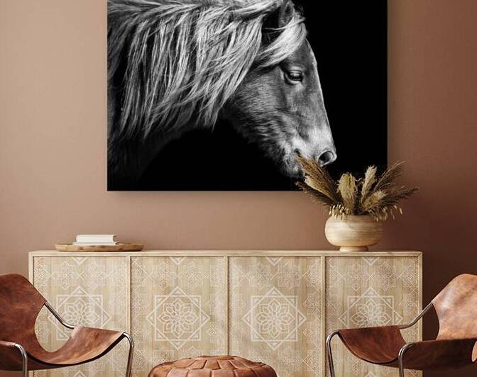 Assateague Pony Sarahs Sweet Tea Black and White by Bill Swartwout Photography