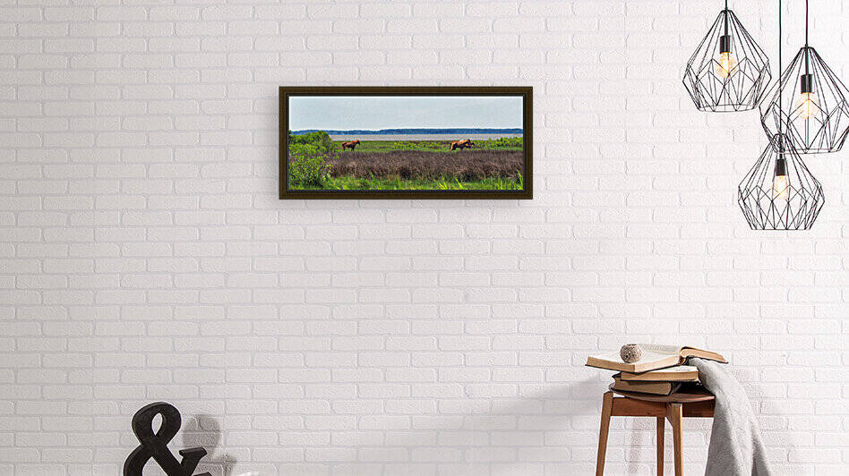 Assateague Pony Band w Foal by Bill Swartwout Photography