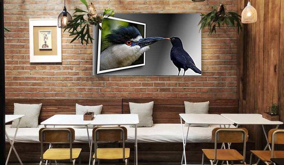 Come Out To Play by Bill Swartwout Photography