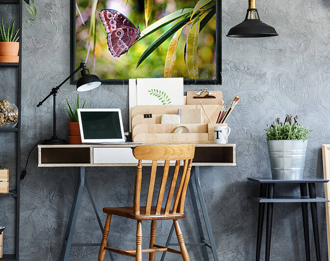 Blue Morpho Butterfly in St. Thomas by Bill Swartwout Photography
