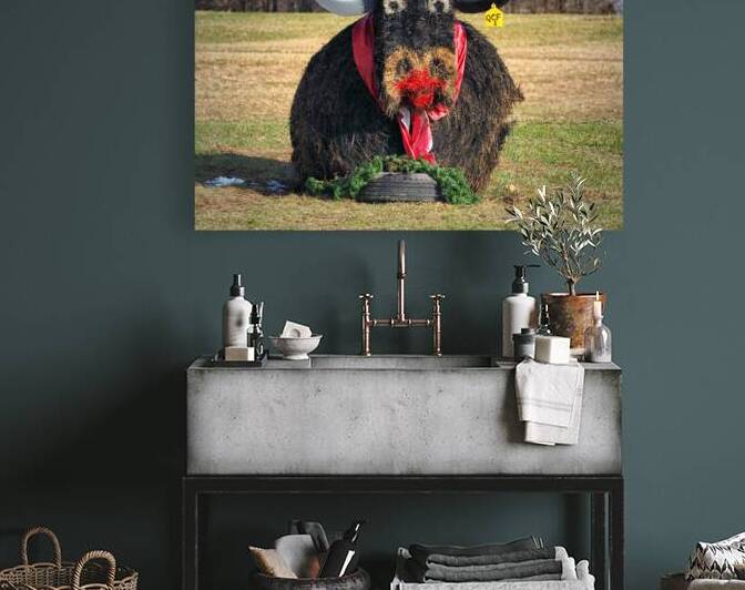 Santa Cow Hay Bales by Bill Swartwout Photography