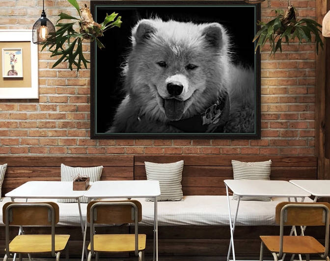 Dog Samoyed Teddy Bear Black and White by Bill Swartwout Photography
