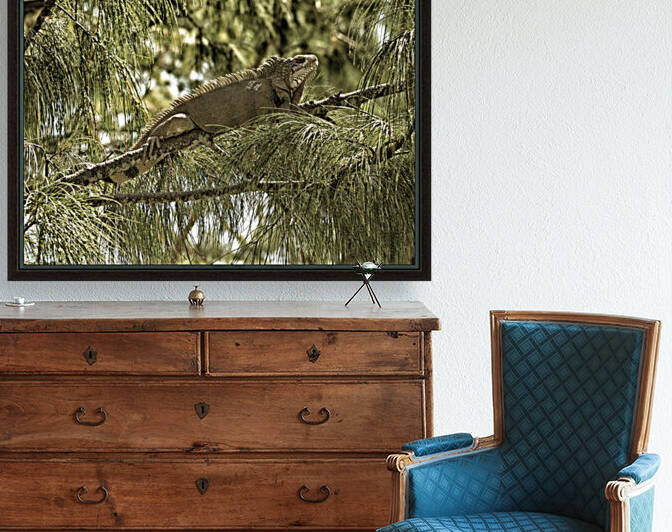 Iguana Black Gold 1200279 by Bill Swartwout Photography