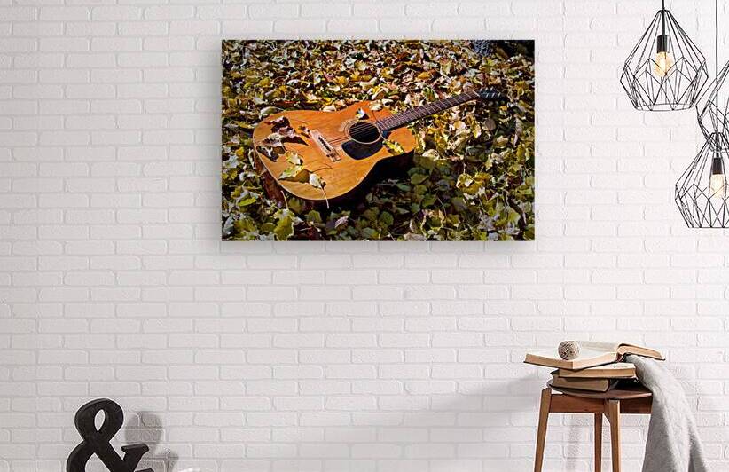 Old Guitar But Not Willie Nelsons Trigger by Bill Swartwout Photography