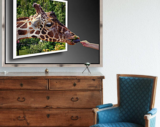 Giraffe w Browse and Hand OOB 8060137 by Bill Swartwout Photography