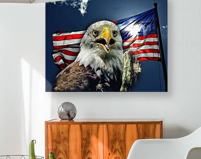 Eagle Face on Flag by Bill Swartwout Photography