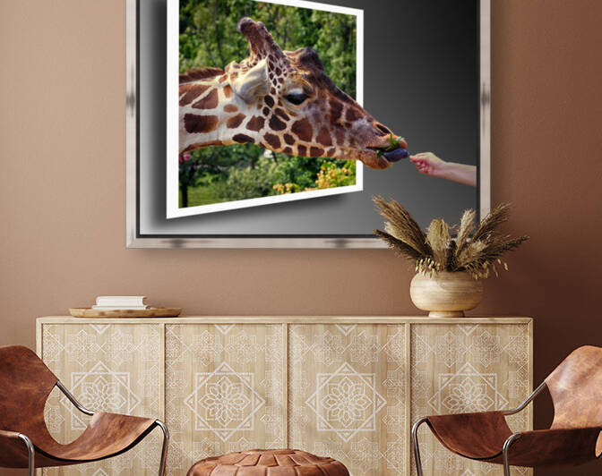 Giraffe w Browse and Hand OOB by Bill Swartwout Photography