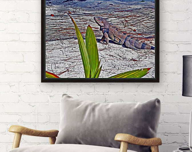 Coco Cay Iguana by Bill Swartwout Photography