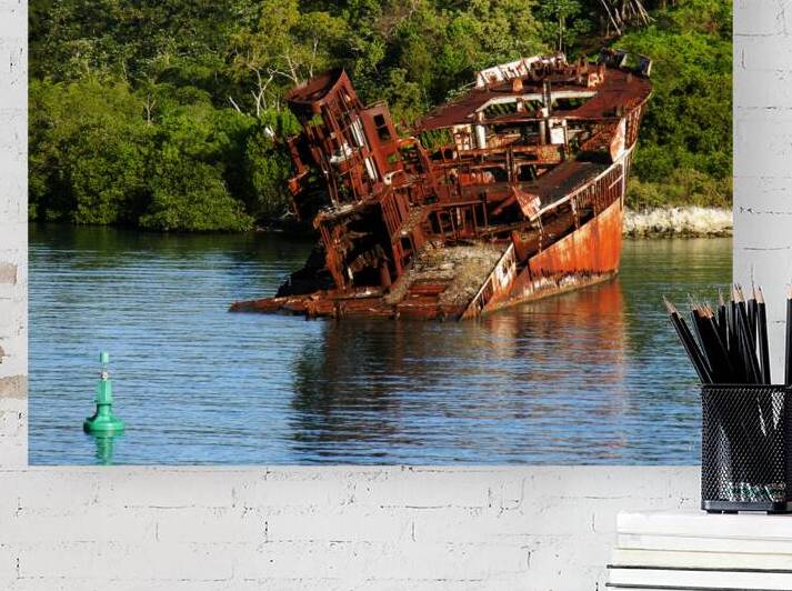 Derelict Ship Hull Roatan Mahogany Bay Honduras by Bill Swartwout Photography