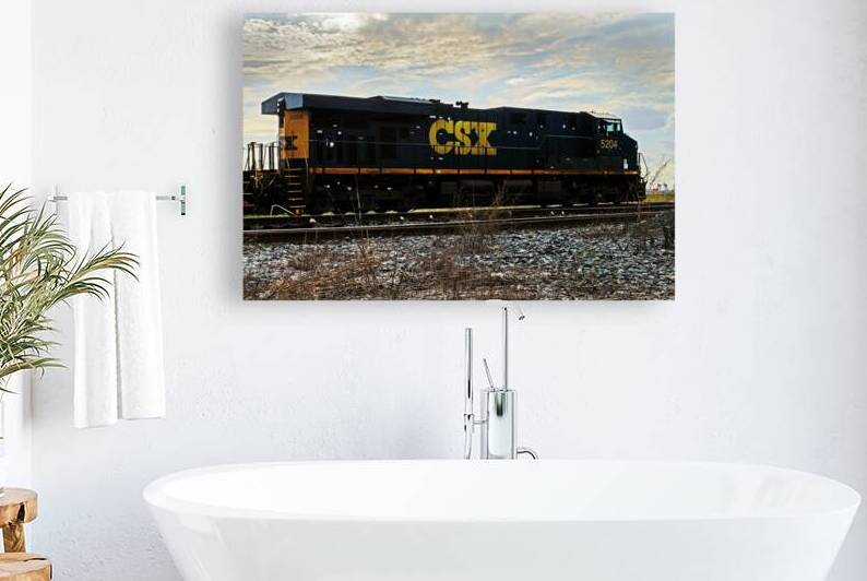 CSX Engine 5204 Grade Crossing Silhouette by Bill Swartwout Photography