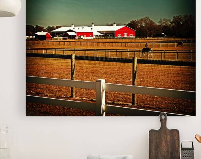 Dont Fence Me In by Bill Swartwout Photography