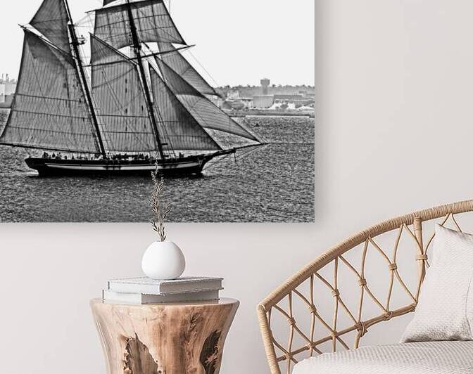 Pride Of Baltimore 2 Outer Harbor by Bill Swartwout Photography