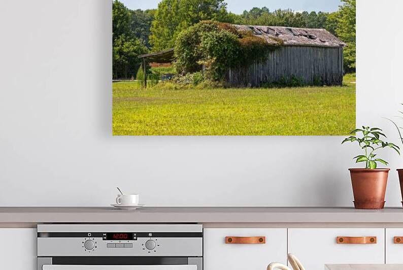 Muskrat Town Road Deserted Crib by Bill Swartwout Photography