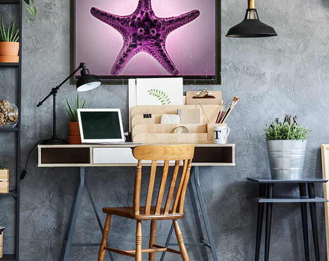 Starfish Purple Haze by Bill Swartwout Photography