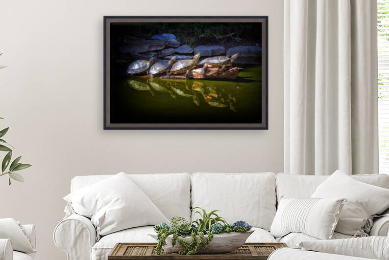 Alligator Adventure Turtle Parade in Myrtle Beach SC by Bill Swartwout Photography