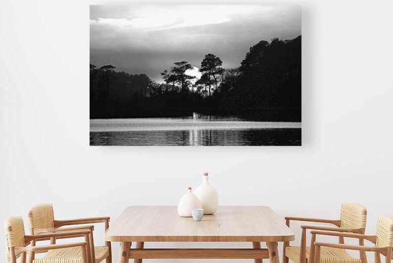 Sunset in the Trees of Assawoman Bay in Monochrome by Bill Swartwout Photography