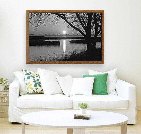 Sunset Trees at Old Landing Road in Black and White by Bill Swartwout Photography