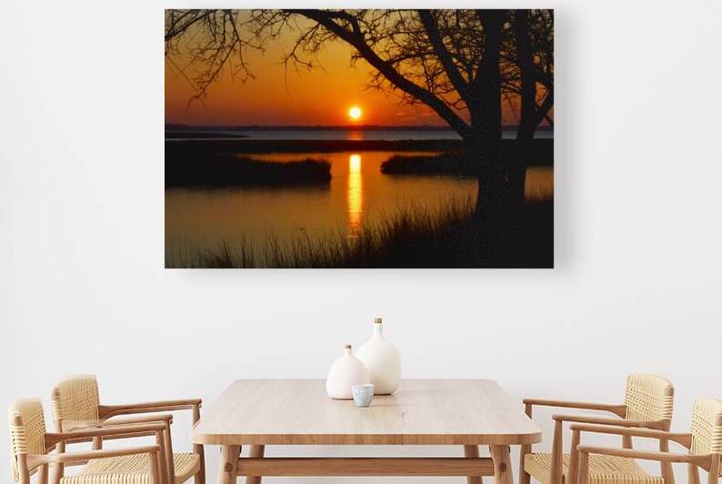 Sunset Trees at Old Landing Road in Ocean City by Bill Swartwout Photography