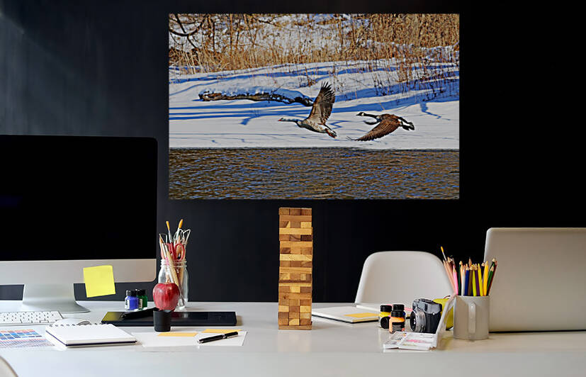 Geese In Winter In Flight by Deb Oppermann