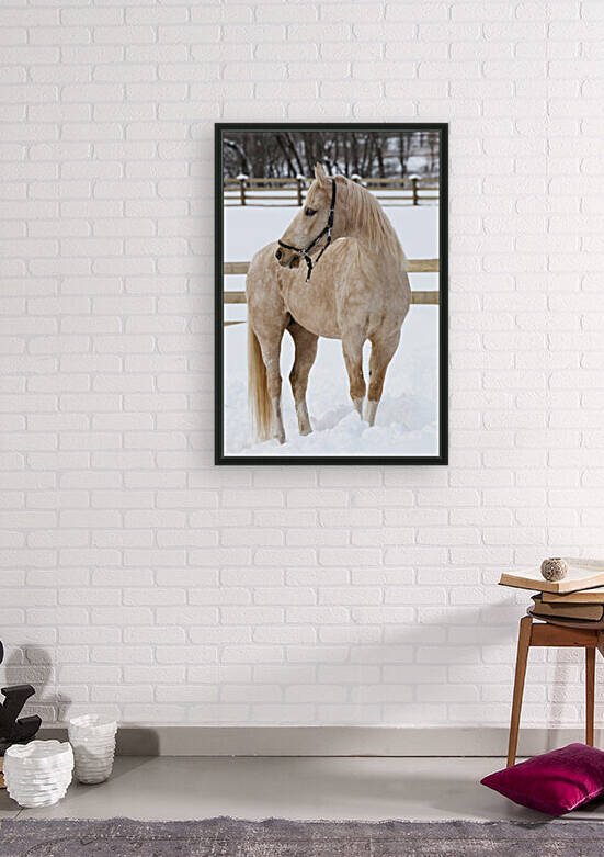 Beauty In White by India Blake