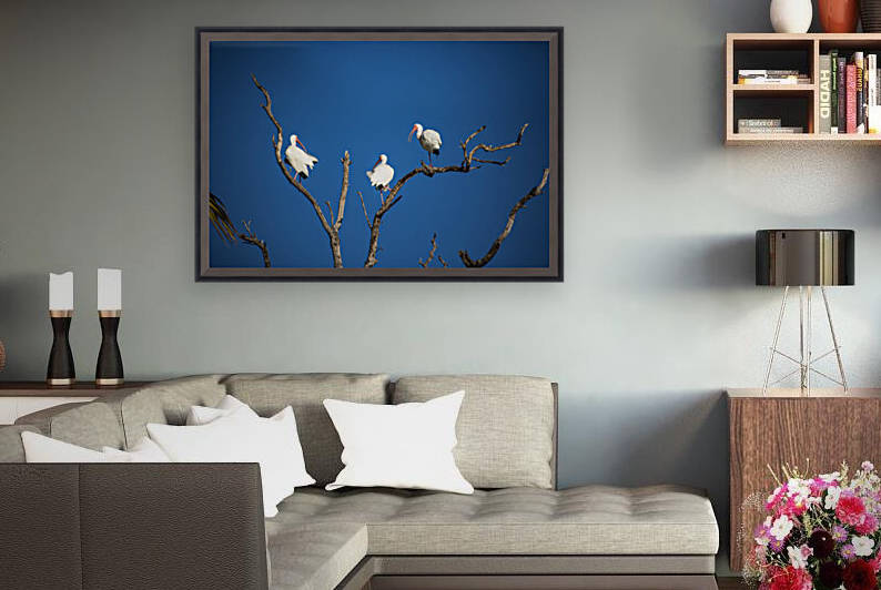 Resting Tree by India Blake