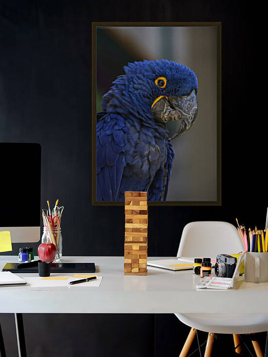 Blue Parrot by India Blake