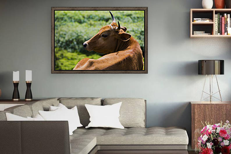 Peaceful Pasture by India Blake