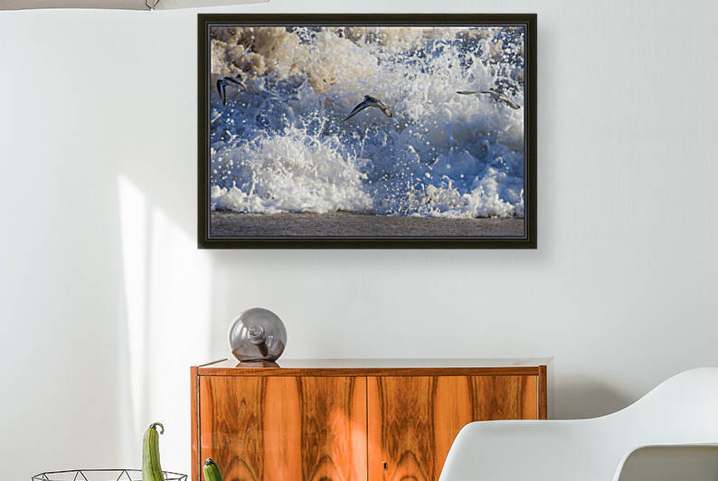 Sand Pipers by India Blake