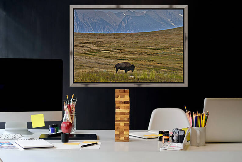 Lonely Buffalo by India Blake