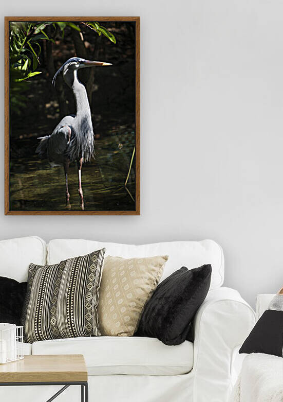 Catching Sunlight by India Blake