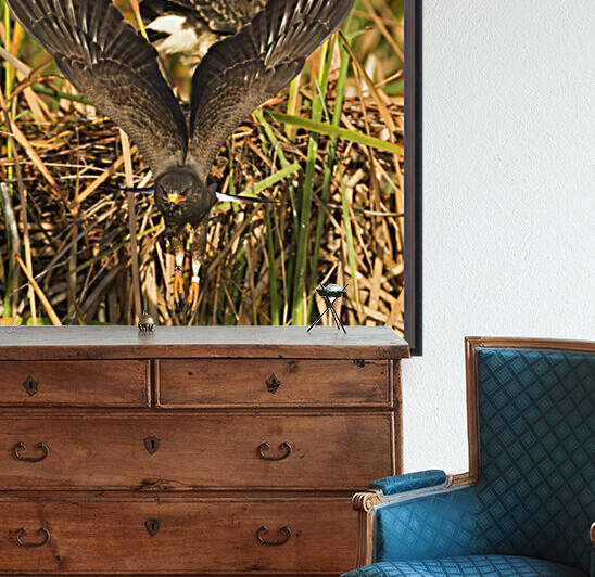 The Take Off by India Blake