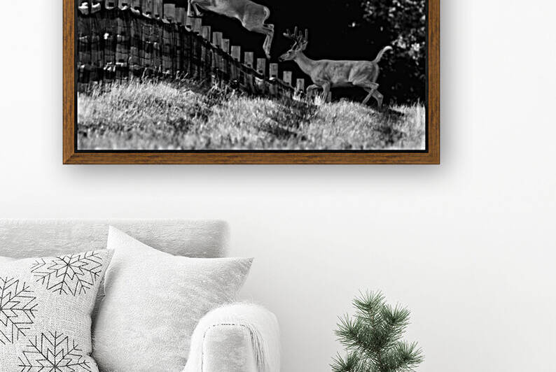 Leap Of Faith  by India Blake