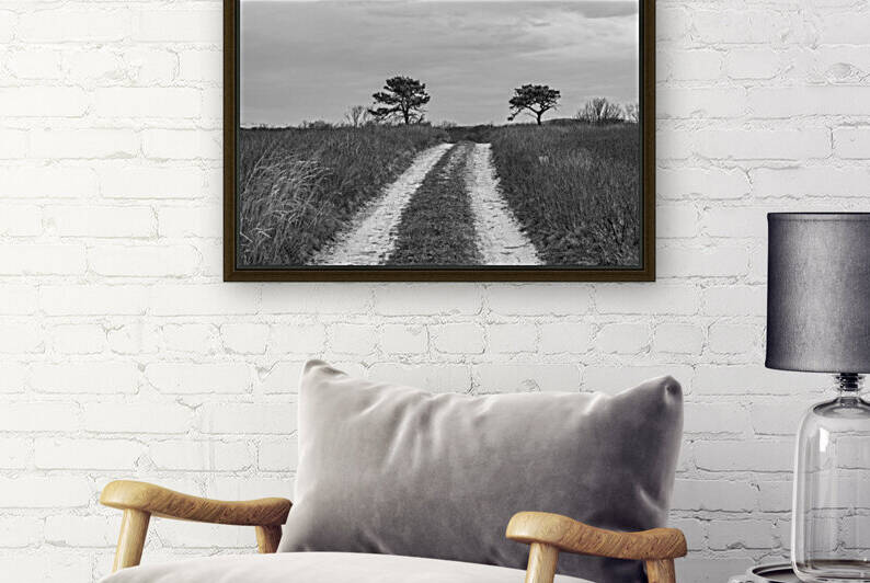 The Road Less Traveled  by India Blake