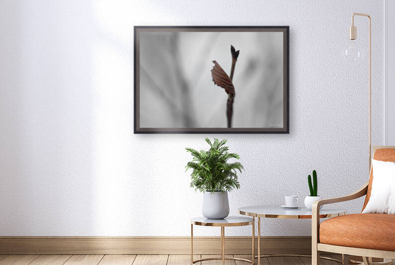 Leaves in winter by Dawn Evans