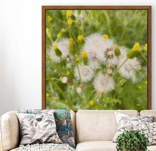 DREAMY WEEDS - ByZo Art Photography by By:Zo Art Print Collection   by Maria Desnoyers