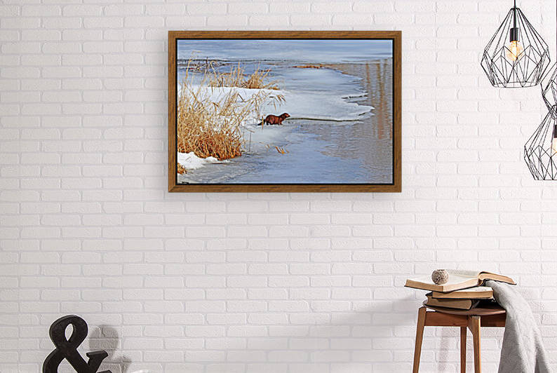 Winter Mink by Deb Oppermann