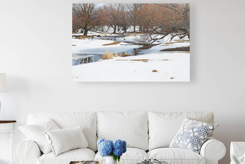 Mink And Geese by Deb Oppermann