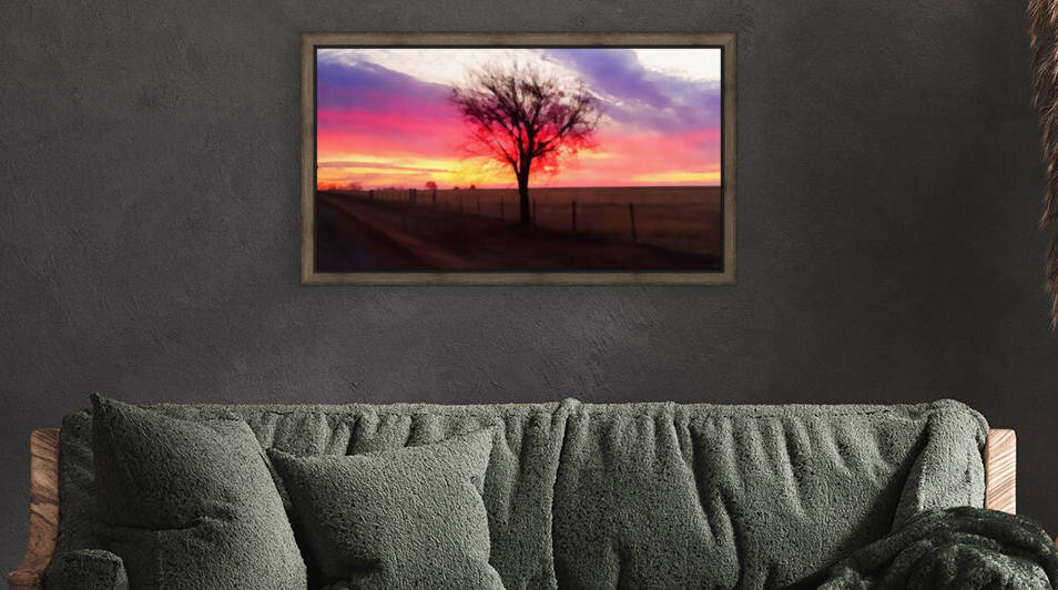 still morning by Pierce Anderson