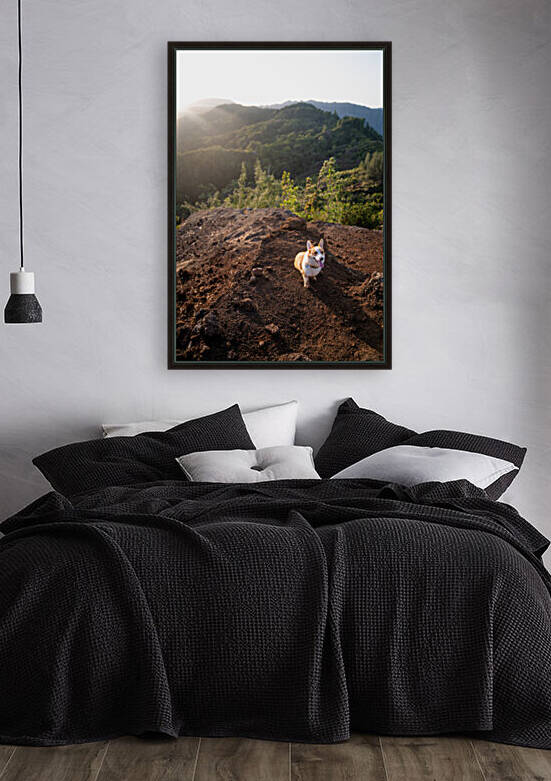 Mountain Corgi by Noah Lang