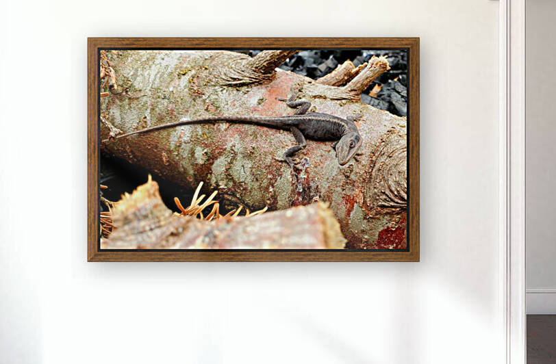 Odd Place to Be by The NC Geek