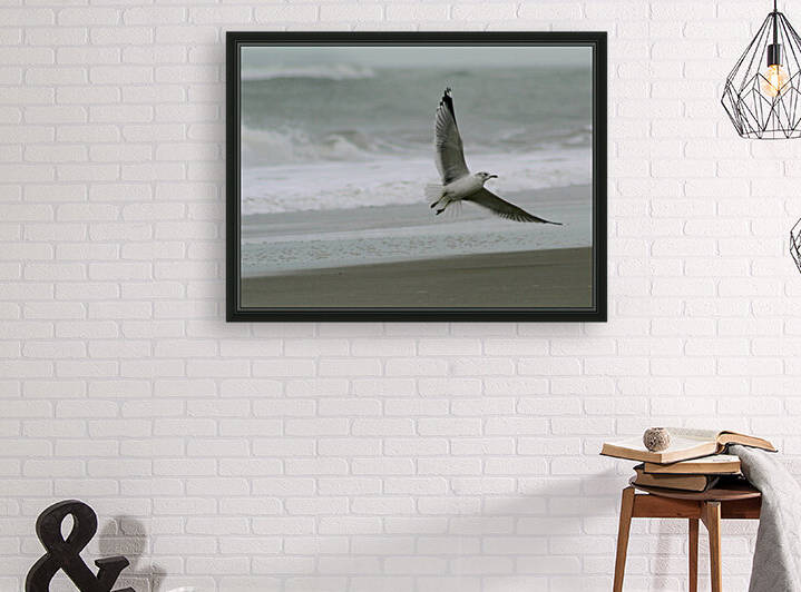 Lift Off by The NC Geek