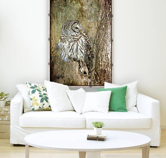 Grungy_Owl by Michel Soucy